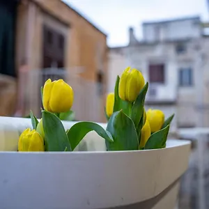  Casa vacanze Termini Italia